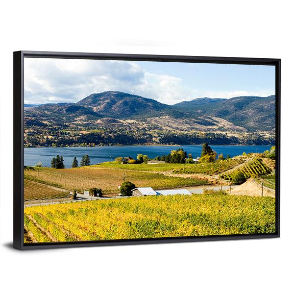View Of Grape Vineyards In Canada Canvas Wall Art-3 Horizontal-Gallery Wrap-25" x 16"-Tiaracle