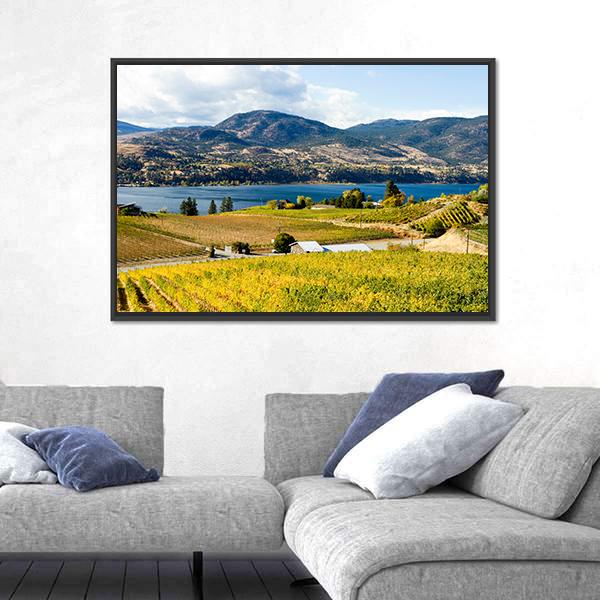 View Of Grape Vineyards In Canada Canvas Wall Art-3 Horizontal-Gallery Wrap-25" x 16"-Tiaracle