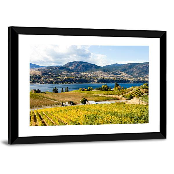 View Of Grape Vineyards In Canada Canvas Wall Art-3 Horizontal-Gallery Wrap-25" x 16"-Tiaracle