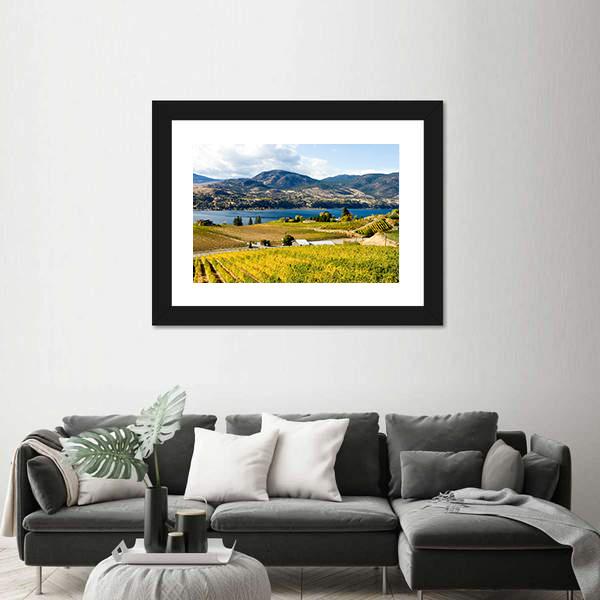 View Of Grape Vineyards In Canada Canvas Wall Art-3 Horizontal-Gallery Wrap-25" x 16"-Tiaracle