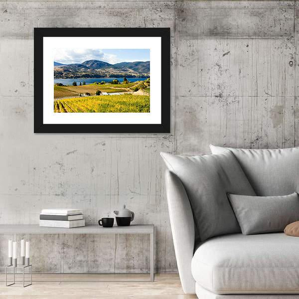 View Of Grape Vineyards In Canada Canvas Wall Art-3 Horizontal-Gallery Wrap-25" x 16"-Tiaracle
