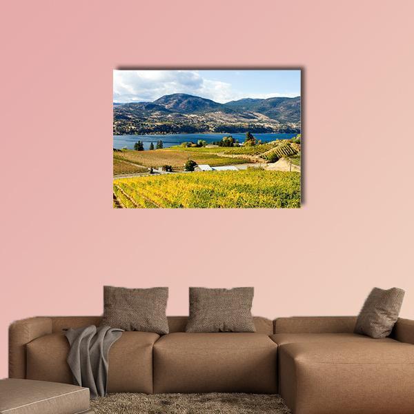 View Of Grape Vineyards In Canada Canvas Wall Art-1 Piece-Gallery Wrap-48" x 32"-Tiaracle