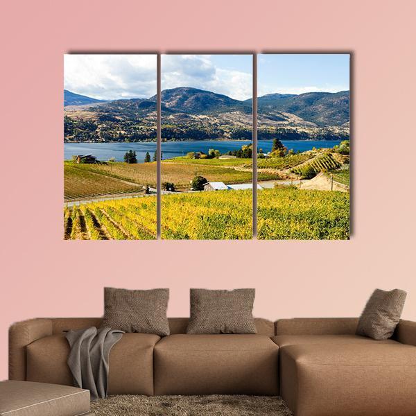View Of Grape Vineyards In Canada Canvas Wall Art-3 Horizontal-Gallery Wrap-37" x 24"-Tiaracle