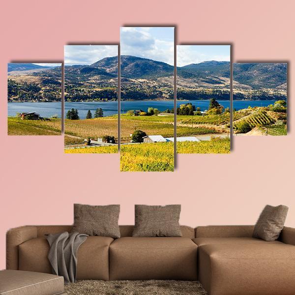 View Of Grape Vineyards In Canada Canvas Wall Art-5 Star-Gallery Wrap-62" x 32"-Tiaracle