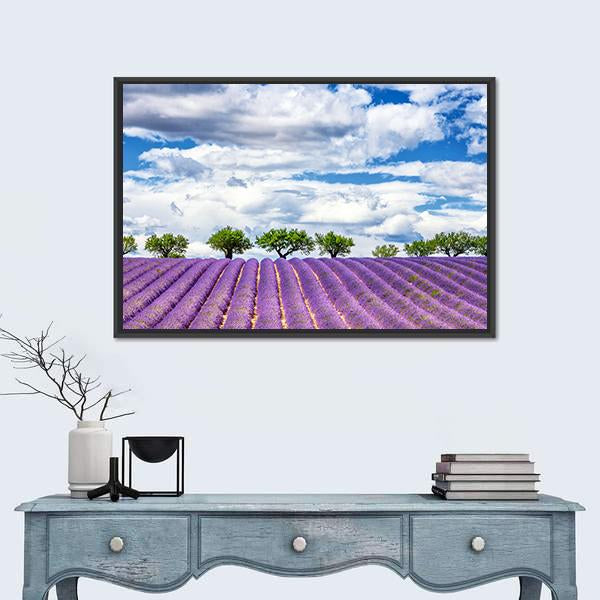 View Of Lavender Field In France Canvas Wall Art-1 Piece-Floating Frame-24" x 16"-Tiaracle