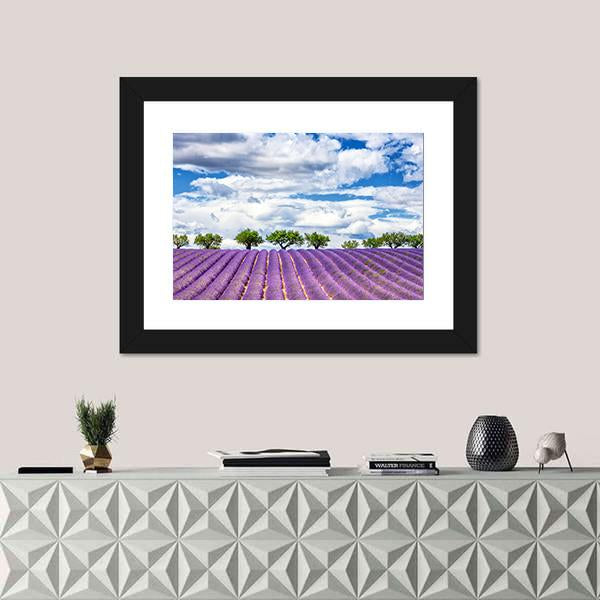 View Of Lavender Field In France Canvas Wall Art-1 Piece-Framed Print-20" x 16"-Tiaracle