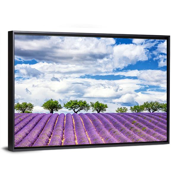 View Of Lavender Field In France Canvas Wall Art-3 Horizontal-Gallery Wrap-25" x 16"-Tiaracle