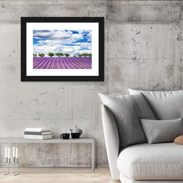 View Of Lavender Field In France Canvas Wall Art-5 Horizontal-Gallery Wrap-22" x 12"-Tiaracle