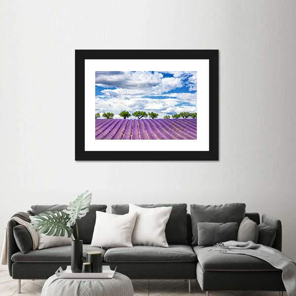 View Of Lavender Field In France Canvas Wall Art-3 Horizontal-Gallery Wrap-25" x 16"-Tiaracle