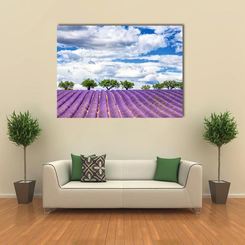 Lavender Field in France Canvas Wall Art in white, blue and purple, single panel hung on a wall