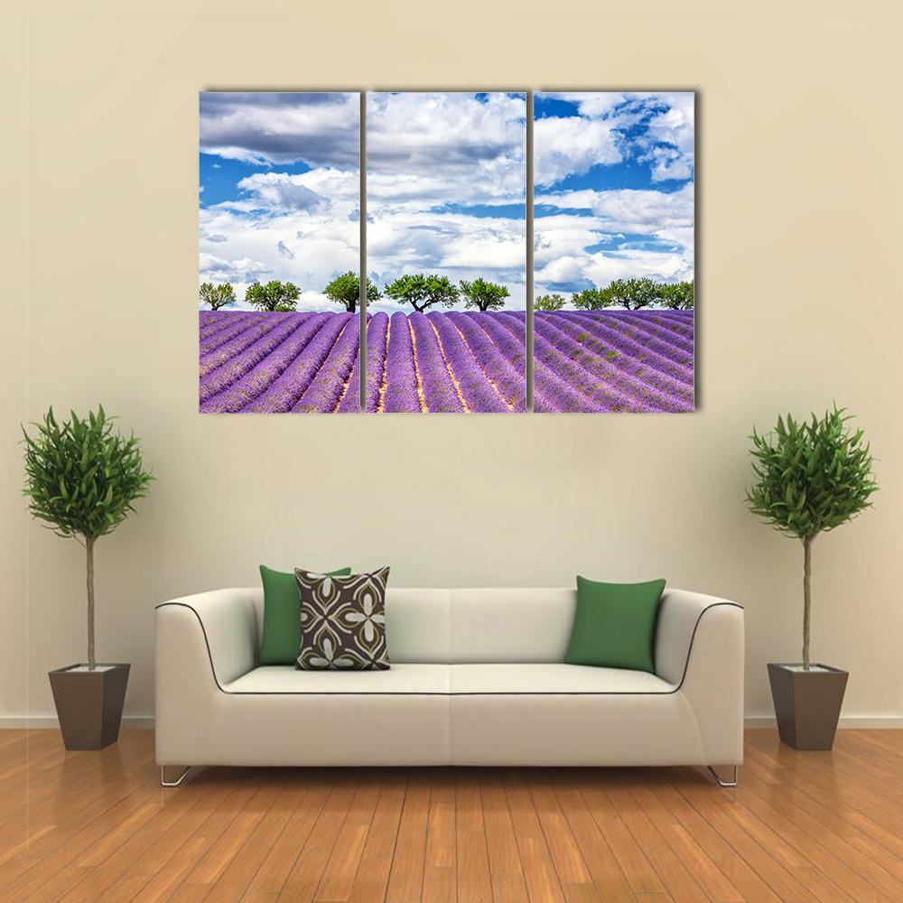 View Of Lavender Field In France Canvas Wall Art-3 Horizontal-Gallery Wrap-37" x 24"-Tiaracle