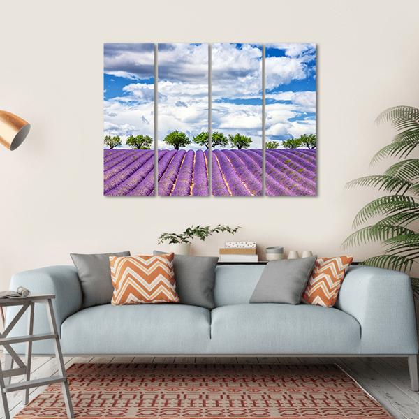 View Of Lavender Field In France Canvas Wall Art-4 Horizontal-Gallery Wrap-34" x 24"-Tiaracle