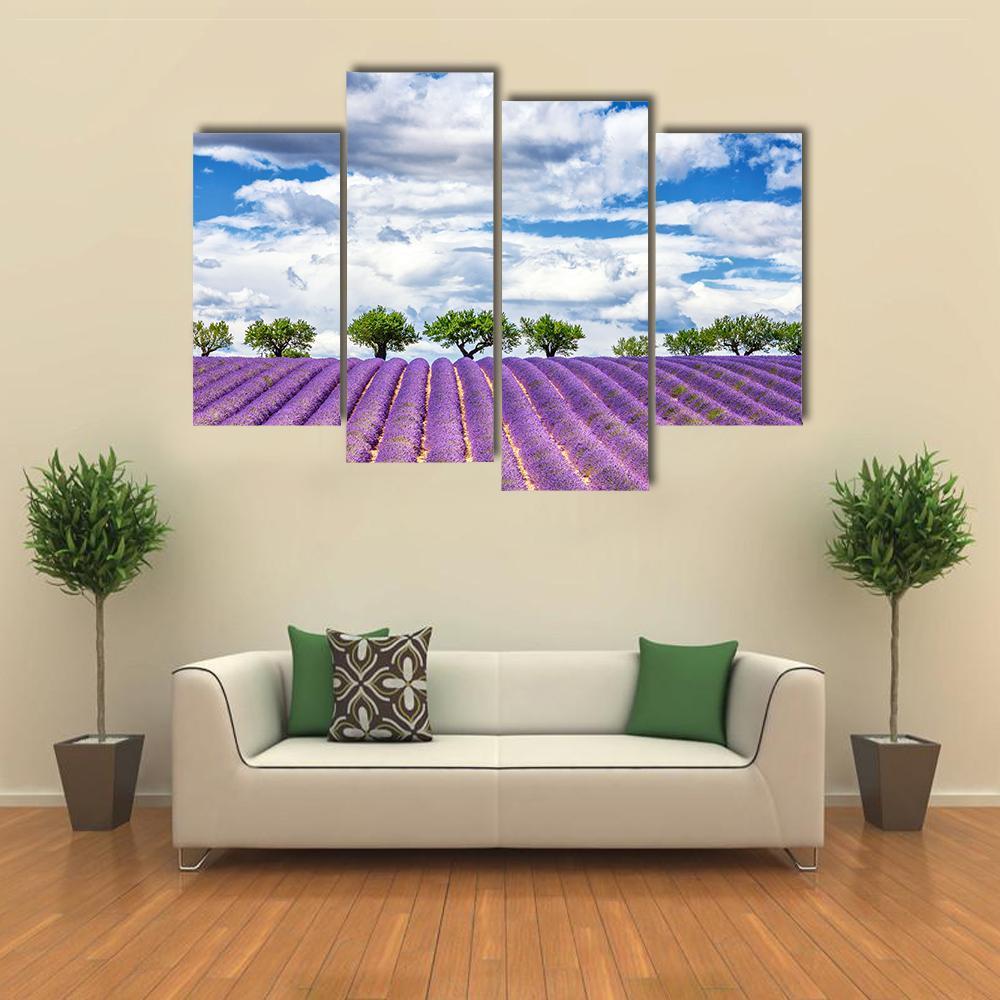 View Of Lavender Field In France Canvas Wall Art-4 Pop-Gallery Wrap-50" x 32"-Tiaracle
