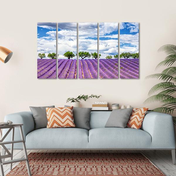 View Of Lavender Field In France Canvas Wall Art-5 Horizontal-Gallery Wrap-22" x 12"-Tiaracle