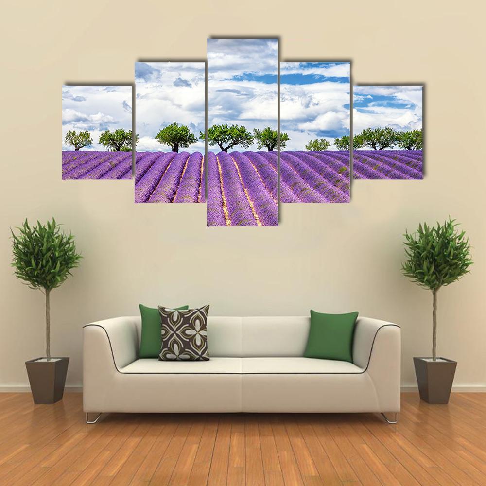 View Of Lavender Field In France Canvas Wall Art-5 Star-Gallery Wrap-62" x 32"-Tiaracle