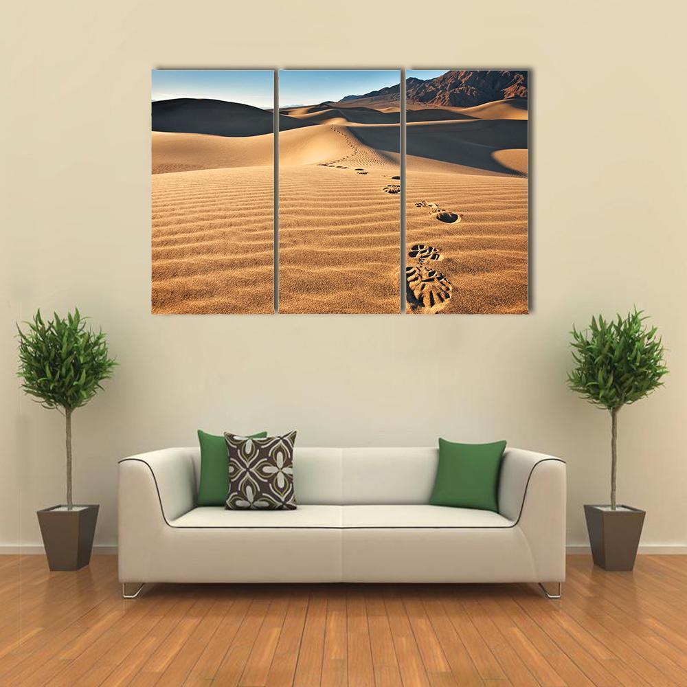 View Of Mesquite Flat Sand Dunes Canvas Wall Art-3 Horizontal-Gallery Wrap-37" x 24"-Tiaracle