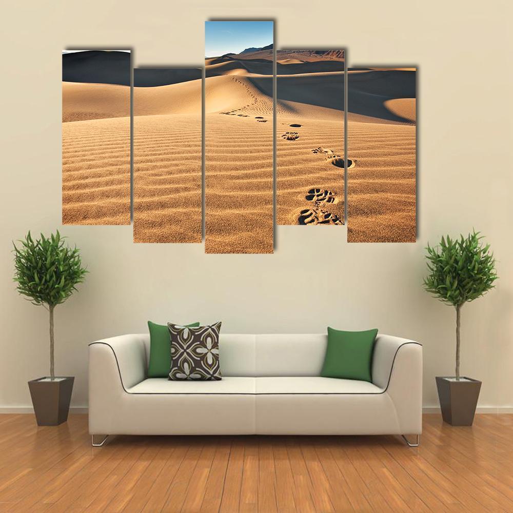 View Of Mesquite Flat Sand Dunes Canvas Wall Art-5 Pop-Gallery Wrap-47" x 32"-Tiaracle