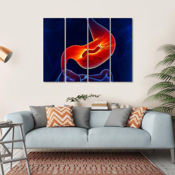 View Of Stomach Canvas Wall Art-4 Horizontal-Gallery Wrap-34" x 24"-Tiaracle