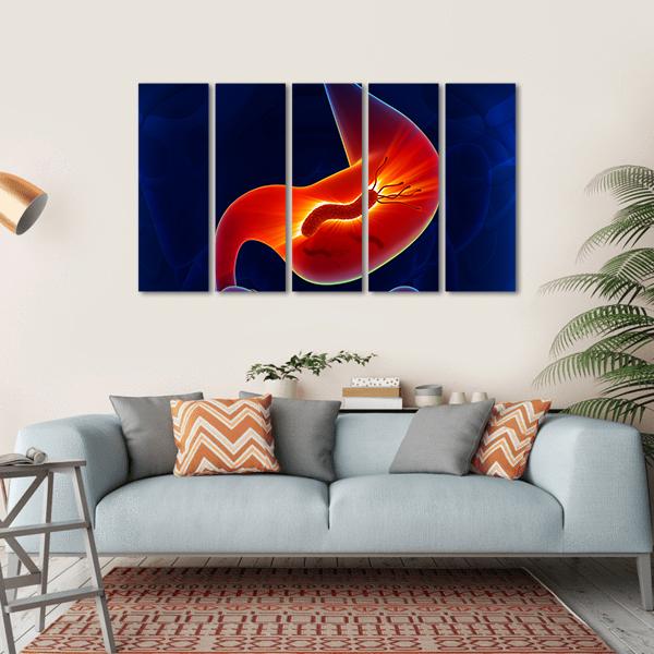 View Of Stomach Canvas Wall Art-5 Horizontal-Gallery Wrap-22&quot; x 12&quot;-Tiaracle