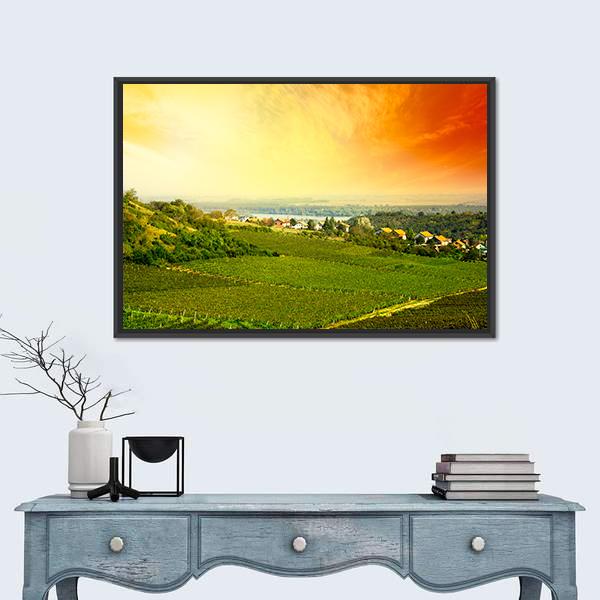 View To Vineyard In Serbia Canvas Wall Art-1 Piece-Floating Frame-24" x 16"-Tiaracle