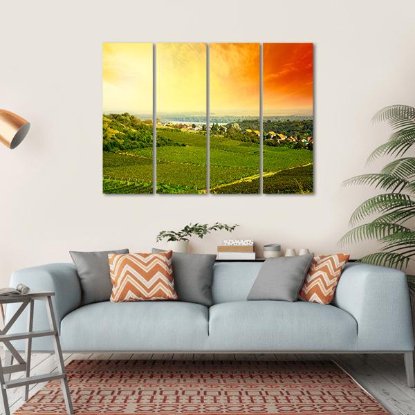 View To Vineyard In Serbia Canvas Wall Art-4 Horizontal-Gallery Wrap-34" x 24"-Tiaracle