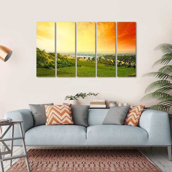 View To Vineyard In Serbia Canvas Wall Art-5 Horizontal-Gallery Wrap-22" x 12"-Tiaracle