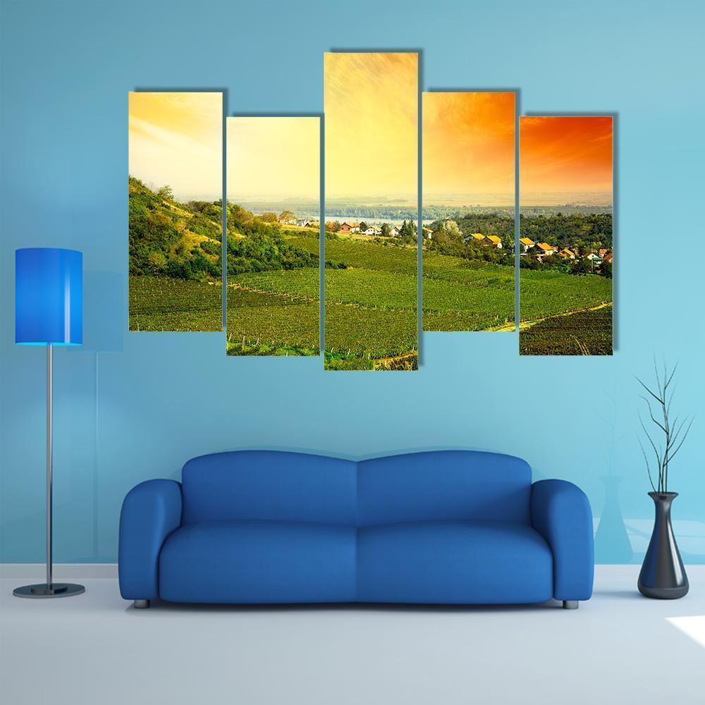 View To Vineyard In Serbia Canvas Wall Art-5 Pop-Gallery Wrap-47&quot; x 32&quot;-Tiaracle