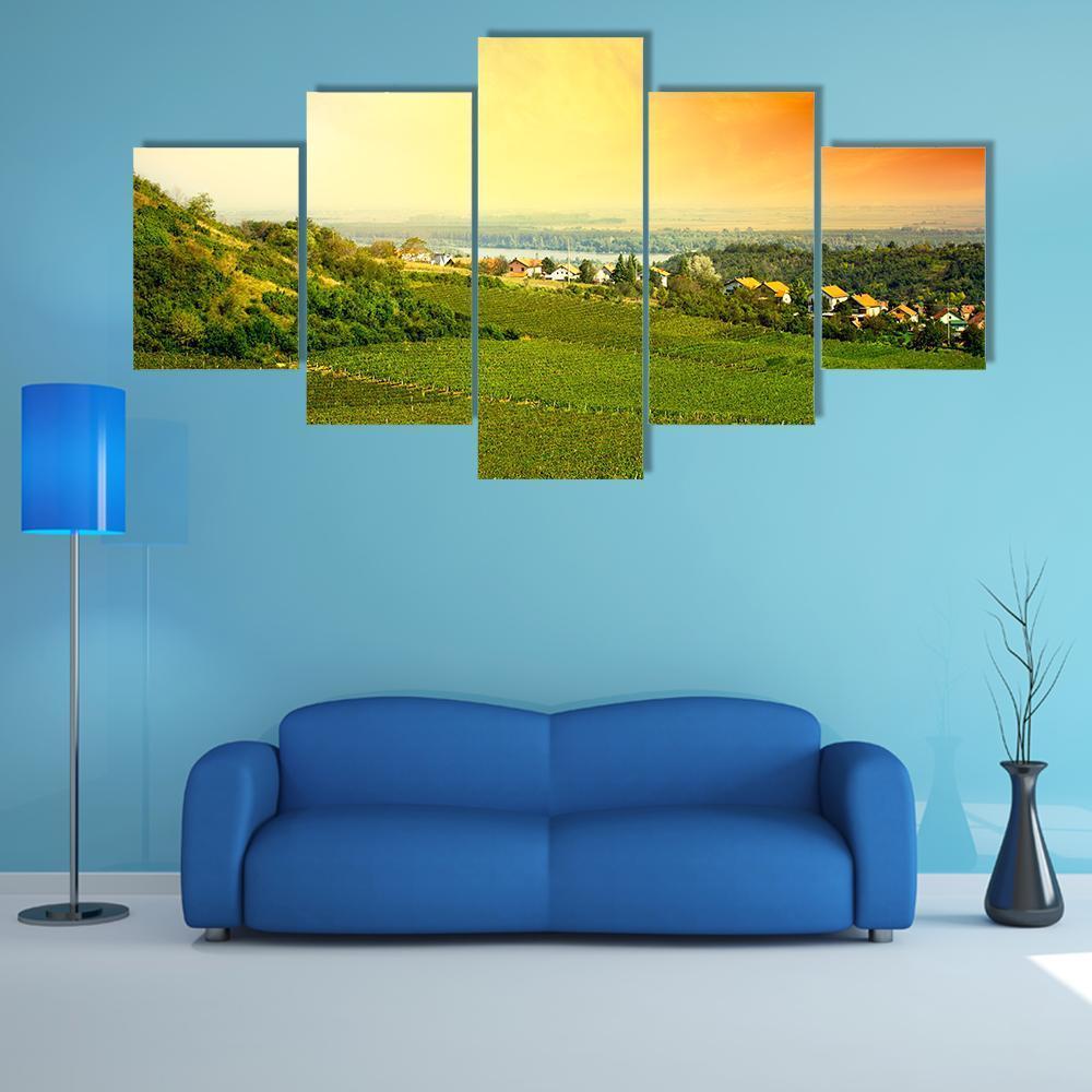 View To Vineyard In Serbia Canvas Wall Art-5 Star-Gallery Wrap-62" x 32"-Tiaracle