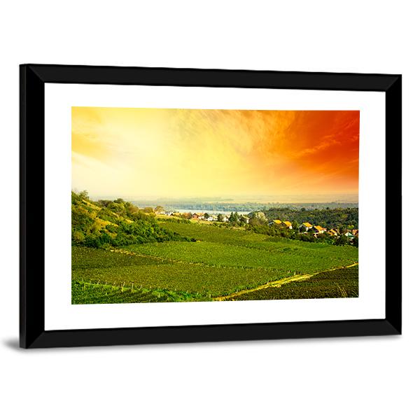 View To Vineyard In Serbia Panoramic Canvas Wall Art-1 Piece-36" x 12"-Tiaracle