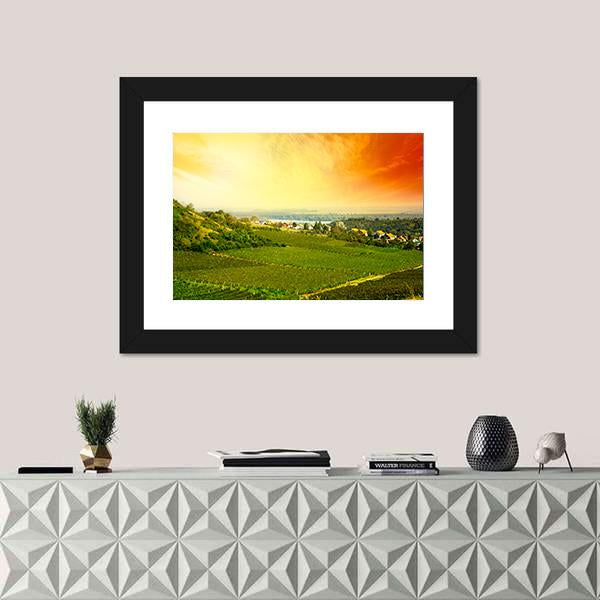 View To Vineyard In Serbia Panoramic Canvas Wall Art-1 Piece-36" x 12"-Tiaracle