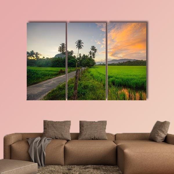 Village Scenery With Paddy field During Sunrise Canvas Wall Art-3 Horizontal-Gallery Wrap-37" x 24"-Tiaracle