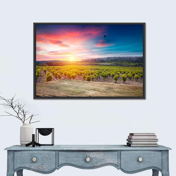 Vineyard At Sunset In The Chianti Region Canvas Wall Art-1 Piece-Floating Frame-24" x 16"-Tiaracle
