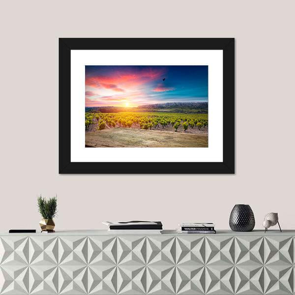 Vineyard At Sunset In The Chianti Region Canvas Wall Art-1 Piece-Framed Print-20" x 16"-Tiaracle