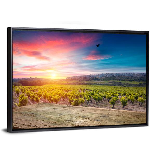 Vineyard At Sunset In The Chianti Region Canvas Wall Art-3 Horizontal-Gallery Wrap-25" x 16"-Tiaracle