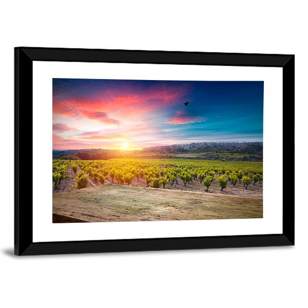 Vineyard At Sunset In The Chianti Region Canvas Wall Art-3 Horizontal-Gallery Wrap-25" x 16"-Tiaracle