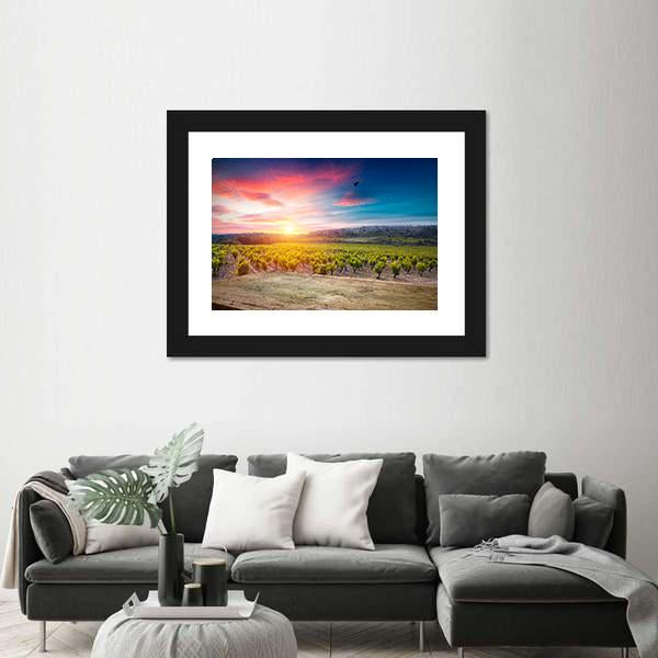 Vineyard At Sunset In The Chianti Region Canvas Wall Art-3 Horizontal-Gallery Wrap-25" x 16"-Tiaracle