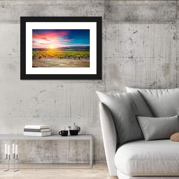 Vineyard At Sunset In The Chianti Region Canvas Wall Art-3 Horizontal-Gallery Wrap-25" x 16"-Tiaracle