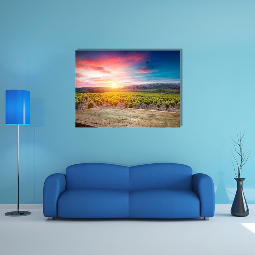 Vineyard At Sunset In The Chianti Region Canvas Wall Art-1 Piece-Gallery Wrap-48" x 32"-Tiaracle