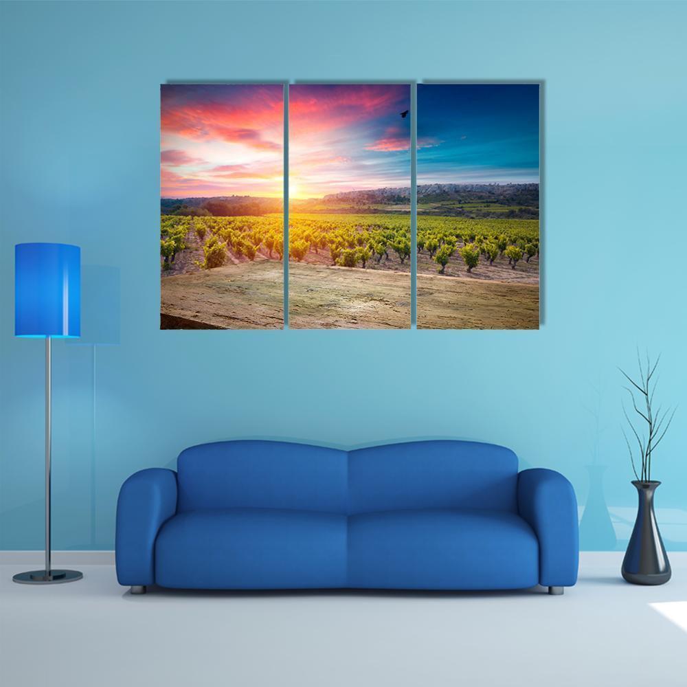 Vineyard At Sunset In The Chianti Region Canvas Wall Art-3 Horizontal-Gallery Wrap-37" x 24"-Tiaracle