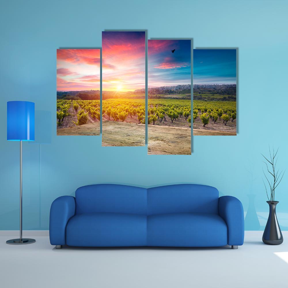 Vineyard At Sunset In The Chianti Region Canvas Wall Art-4 Pop-Gallery Wrap-50" x 32"-Tiaracle