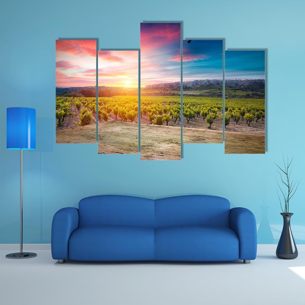 Vineyard At Sunset In The Chianti Region Canvas Wall Art-5 Pop-Gallery Wrap-47" x 32"-Tiaracle