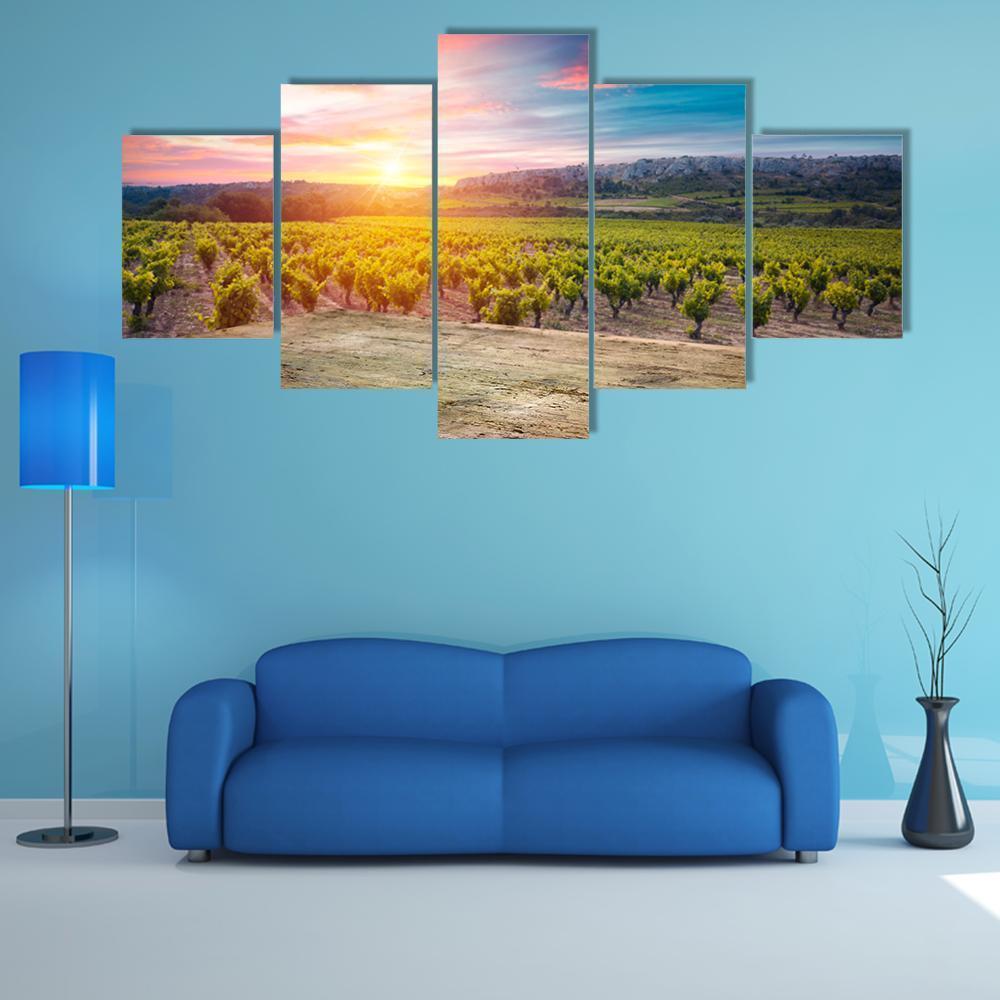 Vineyard At Sunset In The Chianti Region Canvas Wall Art-5 Star-Gallery Wrap-62" x 32"-Tiaracle
