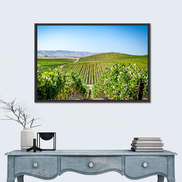 Vineyard in Napa Valley California Canvas Wall Art-1 Piece-Floating Frame-24" x 16"-Tiaracle