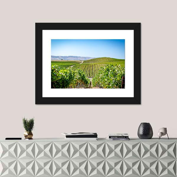 Vineyard in Napa Valley California Canvas Wall Art-1 Piece-Framed Print-20" x 16"-Tiaracle
