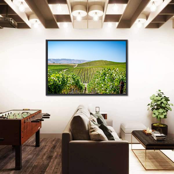 Vineyard in Napa Valley California Canvas Wall Art-5 Horizontal-Gallery Wrap-22" x 12"-Tiaracle