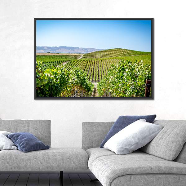 Vineyard in Napa Valley California Canvas Wall Art-5 Horizontal-Gallery Wrap-22" x 12"-Tiaracle