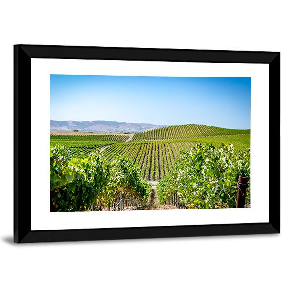 Vineyard in Napa Valley California Canvas Wall Art-3 Horizontal-Gallery Wrap-25" x 16"-Tiaracle