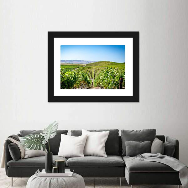 Vineyard in Napa Valley California Canvas Wall Art-3 Horizontal-Gallery Wrap-25" x 16"-Tiaracle