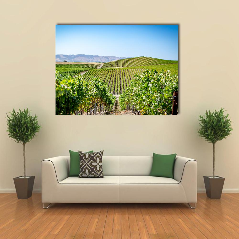 Napa Valley Vineyard Rows Under Blue Sky Canvas Wall Art in beige, green and blue, single panel hung on a wall
