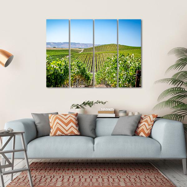 Vineyard in Napa Valley California Canvas Wall Art-4 Horizontal-Gallery Wrap-34" x 24"-Tiaracle
